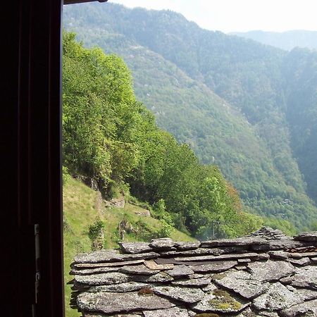 Appartamentino Nel Bosco Sondrio Extérieur photo