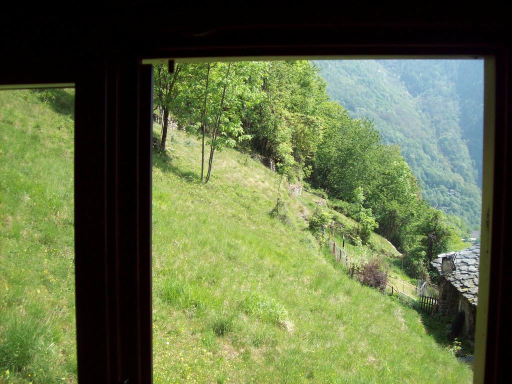Appartamentino Nel Bosco Sondrio Extérieur photo